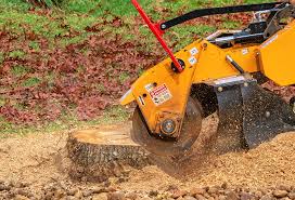 Best Soil Testing and Treatment  in Elkland, PA