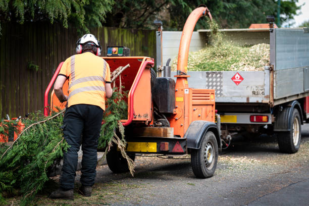 Best Commercial Tree Services  in Elkland, PA